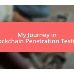 My Journey in Blockchain Penetration Testing