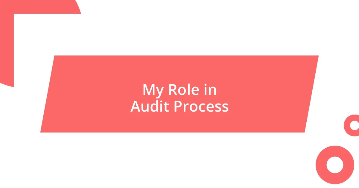 My Role in Audit Process